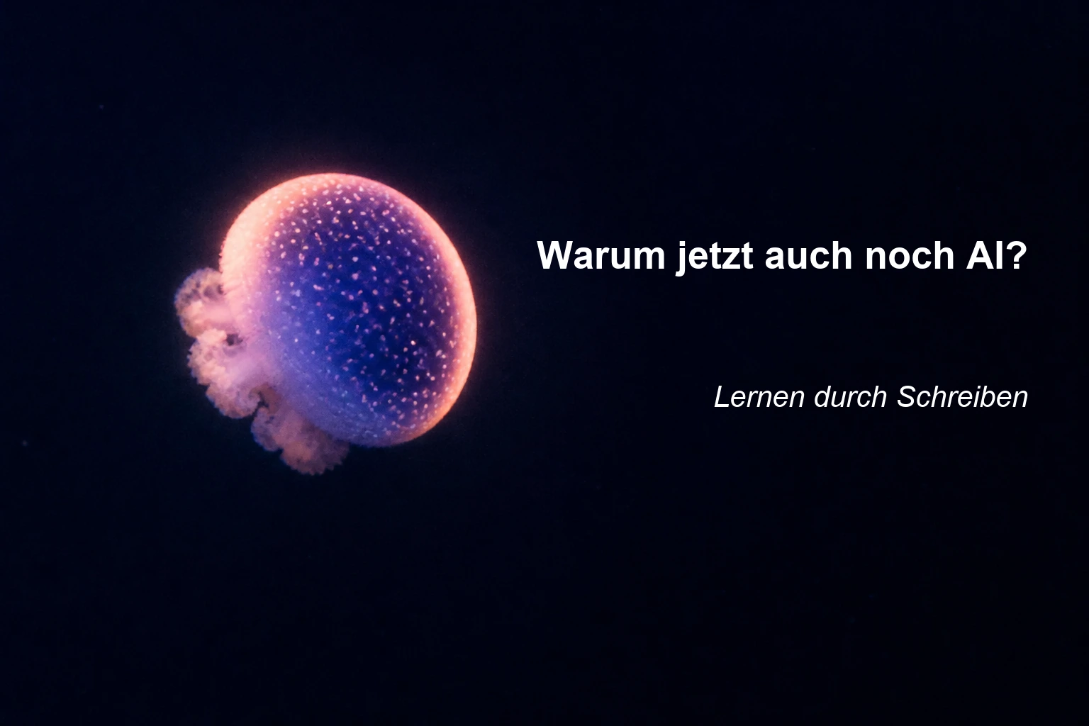 Warum jetzt auch noch AI?