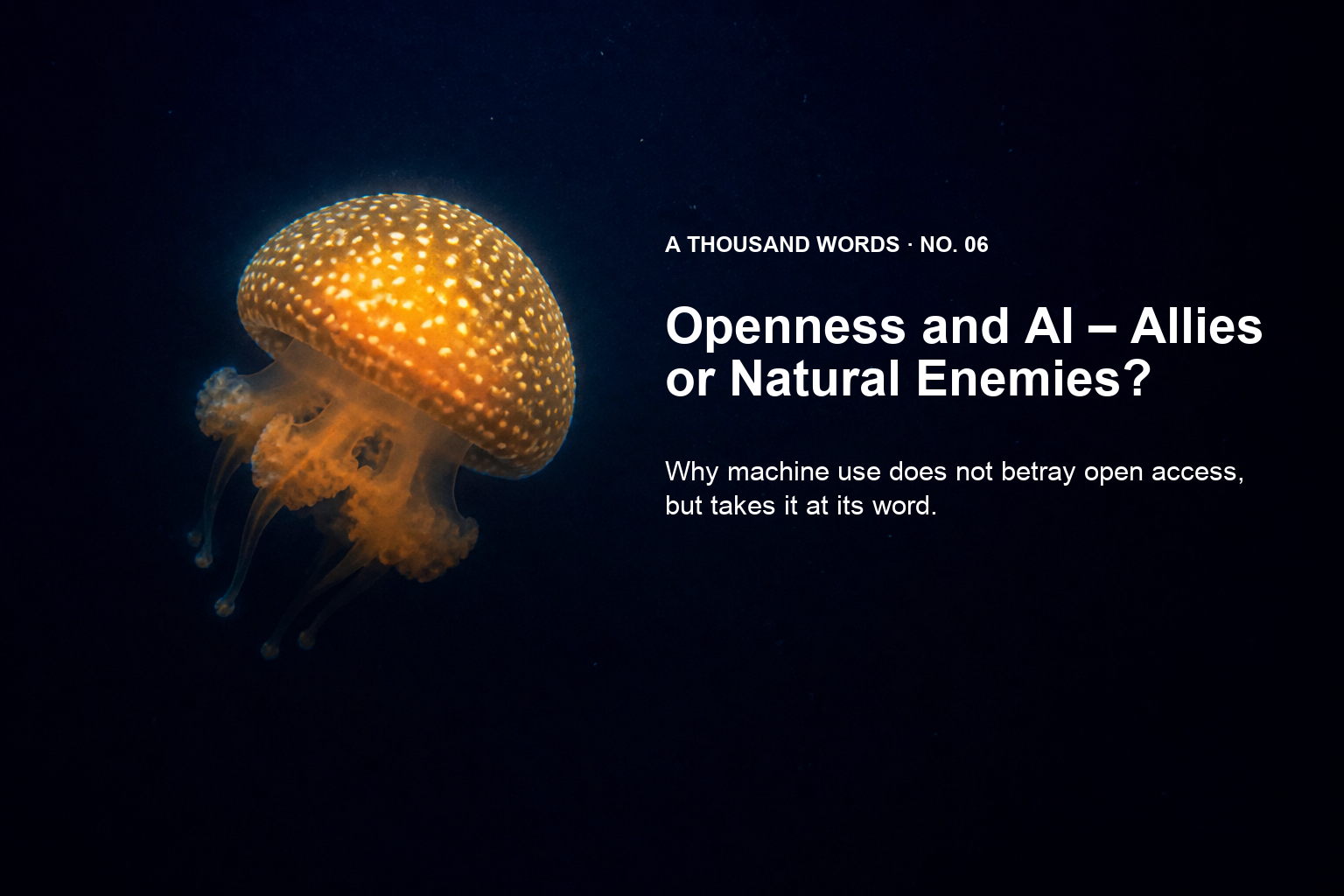 Amber jellyfish against a deep-blue background with the title Openness and AI – Allies or Natural Enemies? and an English subtitle.