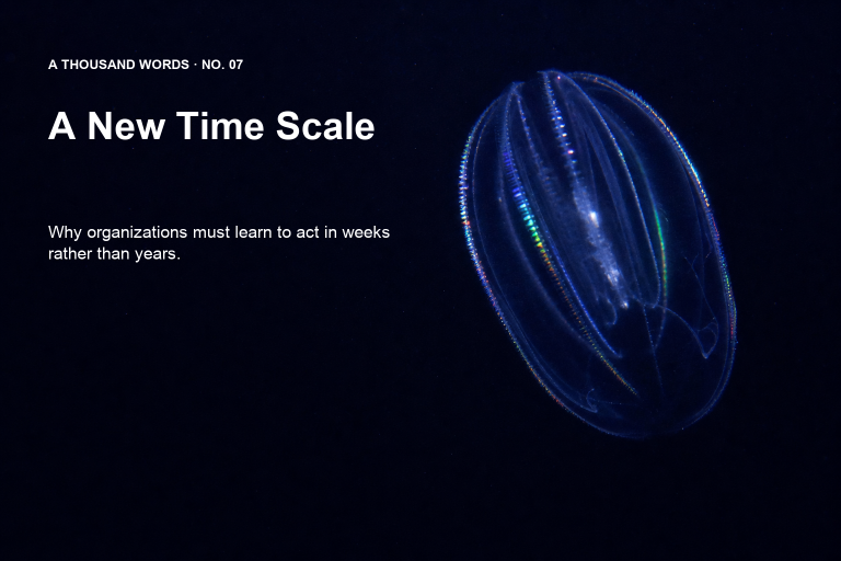 Blue-glowing jellyfish against a deep-dark background with the title A New Time Scale and an English subtitle.