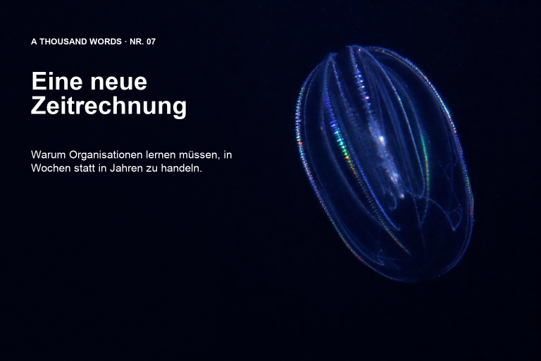 Blau schimmernde Qualle vor tiefdunklem Hintergrund mit dem Titel Eine neue Zeitrechnung und deutscher Unterzeile.