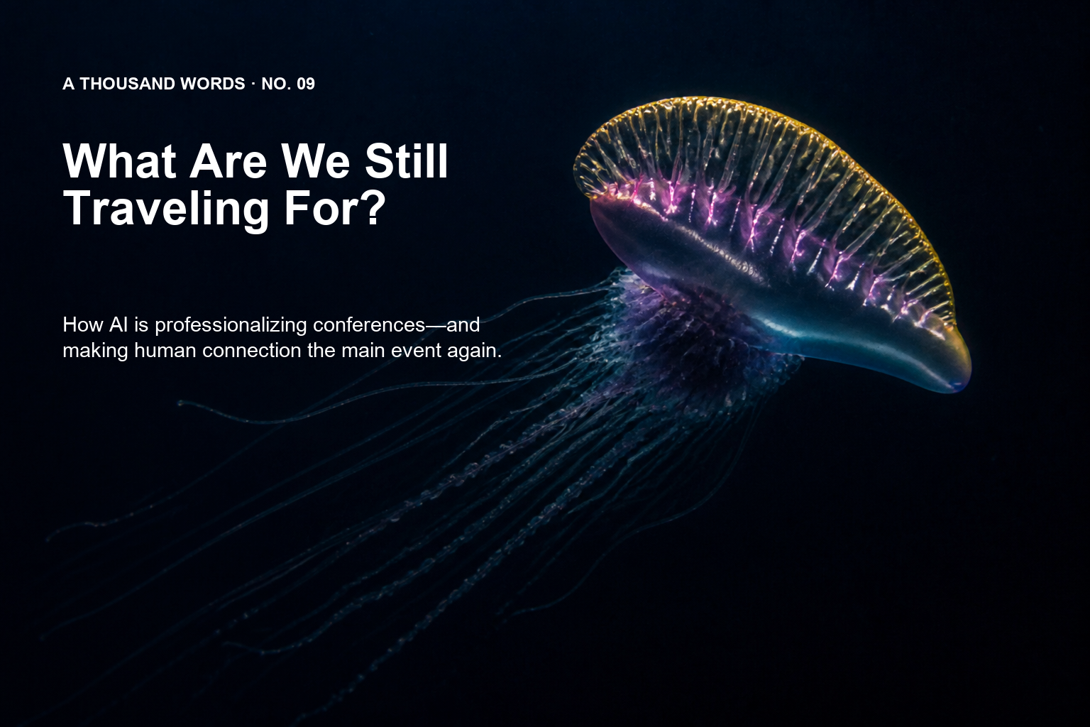 Golden and violet Portuguese man o’ war against a deep-dark background with English title and subtitle.